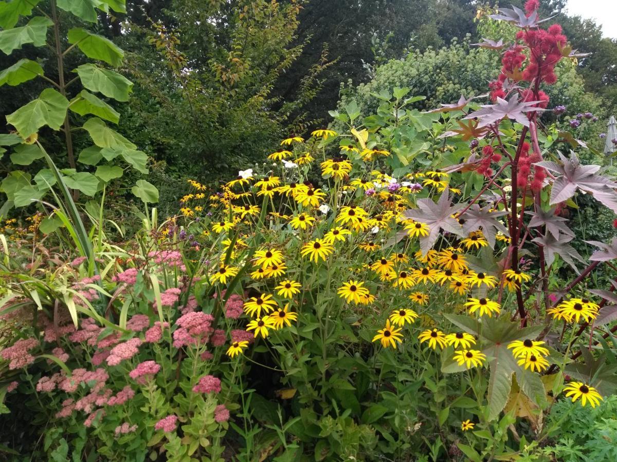 Gites De Lenvos Pontivy Buitenkant foto